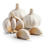 aglio